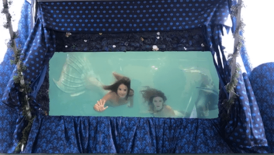 Screen Shot 2018-03-22 at 5.00.54 PM