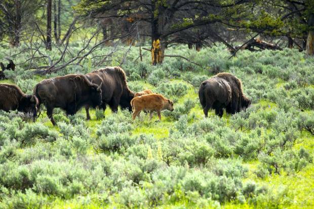 36516943_10217015886777801_3740905296361422848_o