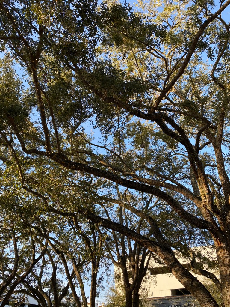 This image has an empty alt attribute; its file name is tempimageamhxde.jpg